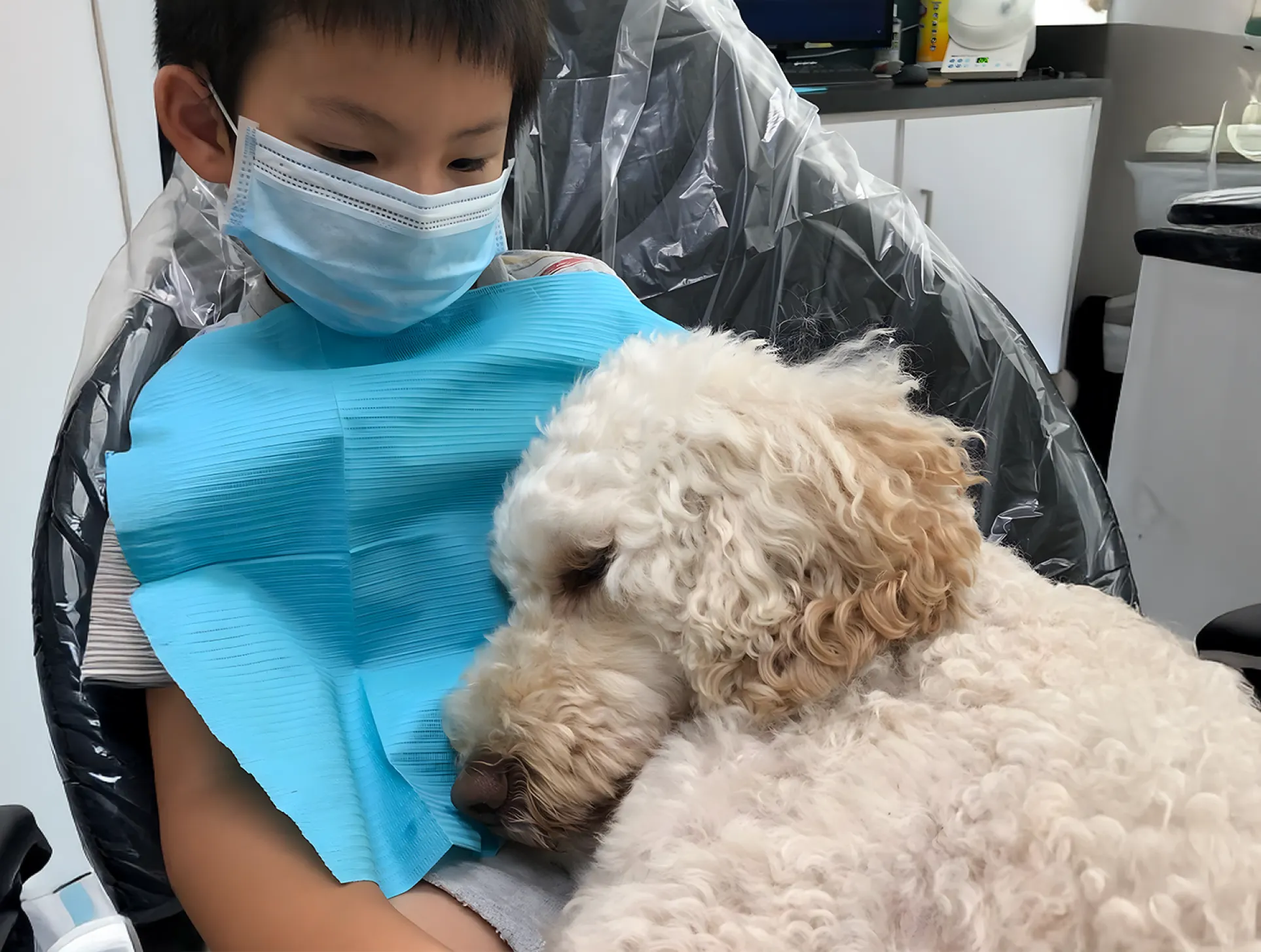 Child with a dental bib and mask sitting in a chair with a curly white dog resting on their lap.